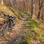 Nr 24, Typ A, Blauvogel, Hasselfelde, Harz *