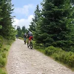 Nr 24, Typ A, Blauvogel, Hasselfelde, Harz Holiday home *