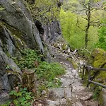 Holiday home Nr 24, Typ A, Blauvogel, Hasselfelde, Harz