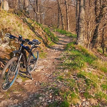Nr 24, Typ A, Blauvogel, Hasselfelde, Harz *