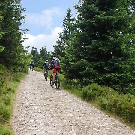 Nr 24, Typ A, Blauvogel, Hasselfelde, Harz Casa de Férias *