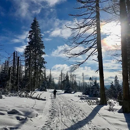 Nr 24, Typ A, Blauvogel, Hasselfelde, Harz 別荘