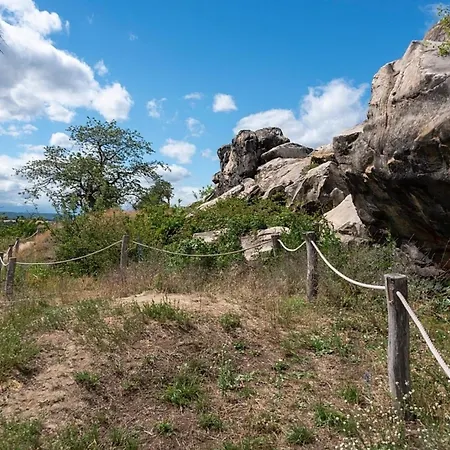 Nr 24, Typ A, Blauvogel, Hasselfelde, Harz 別荘 ハッセルフェルデ