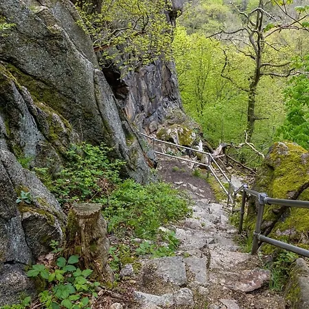 Casa de Férias Nr 24, Typ A, Blauvogel, Hasselfelde, Harz