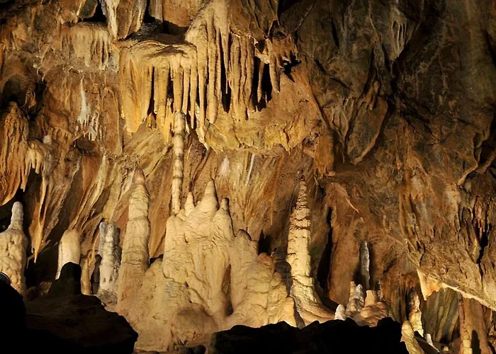 Nr 24, Typ A, Blauvogel, Hasselfelde, Harz