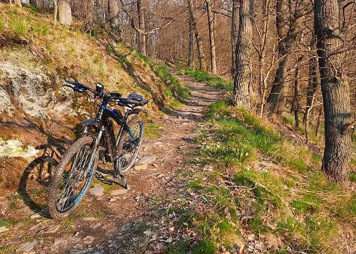 Nr 24, Typ A, Blauvogel, Hasselfelde, Harz *