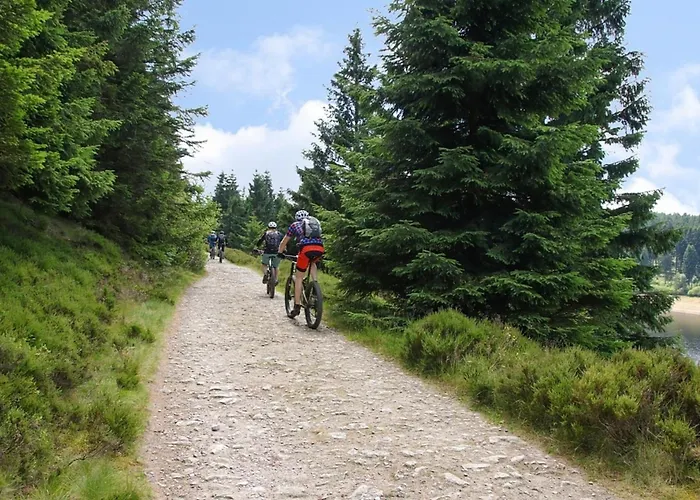 Nr 24, Typ A, Blauvogel, Hasselfelde, Harz 別荘 *