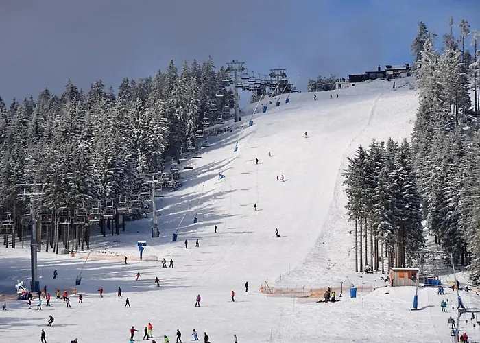 Nr 24, Typ A, Blauvogel, Hasselfelde, Harz 別荘 ハッセルフェルデ