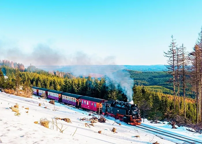 Nr 24, Typ A, Blauvogel, Hasselfelde, Harz
