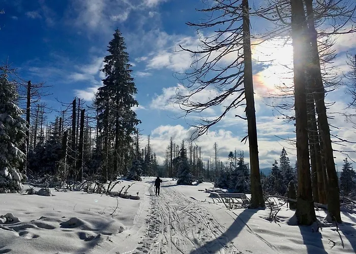 Nr 24, Typ A, Blauvogel, Hasselfelde, Harz 別荘