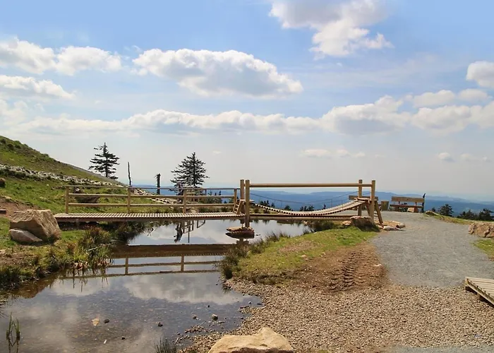 別荘 Nr 24, Typ A, Blauvogel, Hasselfelde, Harz *