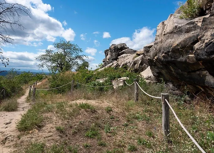 Nr 24, Typ A, Blauvogel, Hasselfelde, Harz 別荘 ハッセルフェルデ