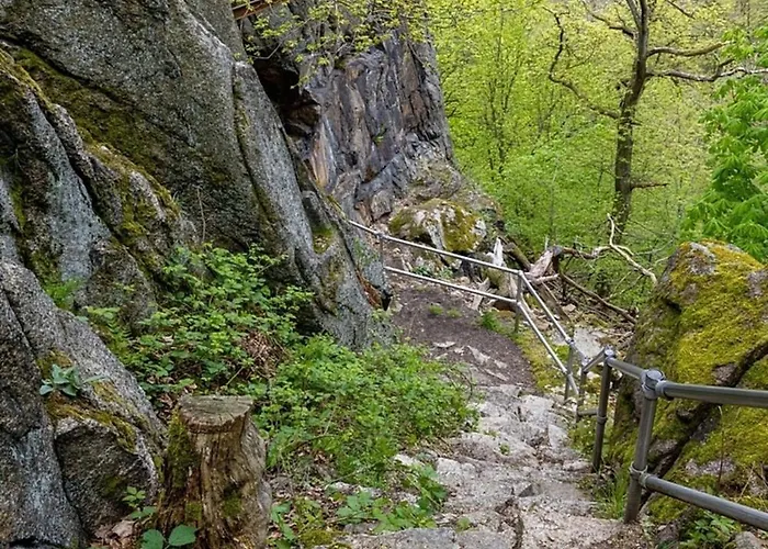 別荘 Nr 24, Typ A, Blauvogel, Hasselfelde, Harz