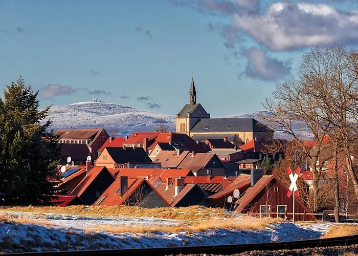 Nr 24, Typ A, Blauvogel, Hasselfelde, Harz 別荘